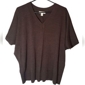 Coldwater Creek Womens Wool Blend Brown Sweater V Neck Dolman Sleeves Size L